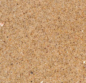 Wet Sand Background