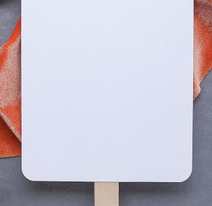 Paddle Program Fan Mockup