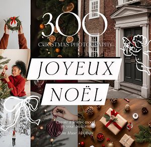 Joyeux Noel 300 Christmas Photos