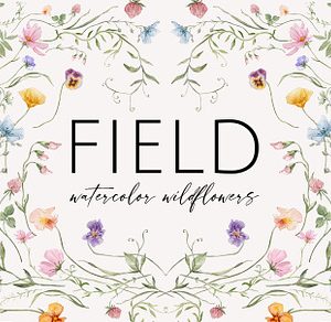 FIELD watercolor wildflowers