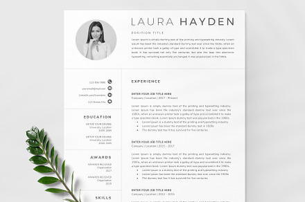 Compact Resume and CV Template