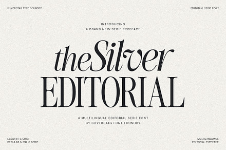The Silver Editorial Serif Font