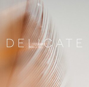 Delicate | 20 Feather Photos